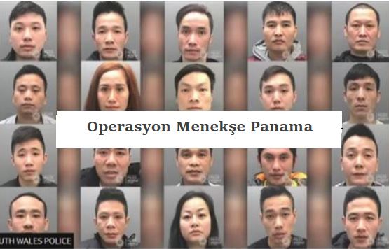 Operation Violet Panama